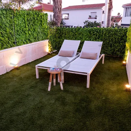 Livinmálaga álamos